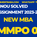 MMPO 01 solved assignment 2023-24